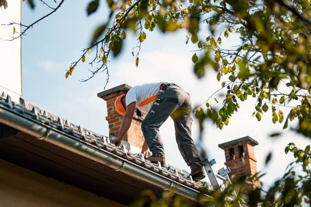 Best Storm Damage Roof Repair  in Bloomingdale, IL