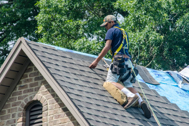 Best Gutter Installation and Roofing  in Bloomingdale, IL